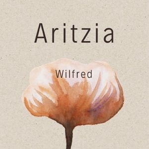 My fav aritzia brand. wilfred
